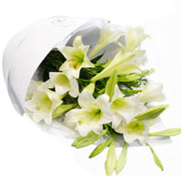 Delightful White Trumpet Lilies in a White Card Wrap