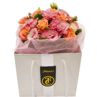Blushing Apricot and Pink Blooms in a Tomuri Gift Bag