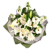 Impressive Bundle of White and Green Flowers