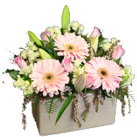 Regal Bouquet of Pink and White Blooms in a Ceramic Pot