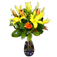 Blushing Assemble of Multi-Colored Asiatic Lillies in a Vase
