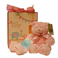 Mesmerizing Present of Pink Teddy with Baby Socks