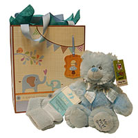 Pretty Pastel Blue Teddy Bear with Baby Socks