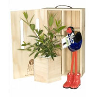 Attention-Getting Baby Tree with Ceramic Baby Pukeko