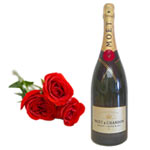 A classic gift, this Innovative Present of Roses w...