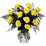 12 Yellow Roses in a Vase