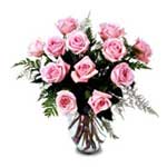 12 Pink Roses in a Vase