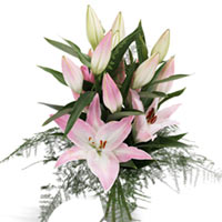 A beautiful and theatrical presentation of pink lilies and feathery greenery! ...