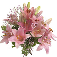 A fully charged bouquet of pink lilies that sings ...