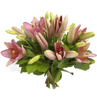 Here is a prise selection for the lily lovers out ...