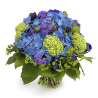 A absolutley captivating bouquet of brilliant blue...