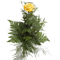 Bouquet with yellow rose and greenery. It is believed that yellow flowers come w...
