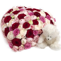 A real modern substitute to a rose bouquet. Red and pink roses are formed to a h...