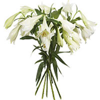 Stylish and elegant bouquet of white lilies. About...