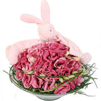 A cute decoration for a baby girl with lovely pink bunny that is both cuddly ted...