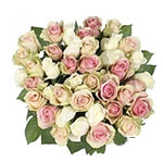40 Fairtrade roses in pink / green / white 