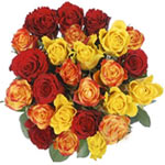 Ravishing Bouquet of 25 Golden Hued Roses