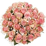 Blushing Bunch of 40 Fairtrade Pink Roses with Bridal Veil