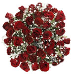 Cheerful Cluster of 40 Red Fairtrade Roses with Bridal Veil