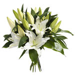 Stunning White Lilly Arrangement