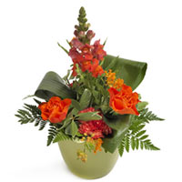 Here is a high energy, airy bouquet that is also warm. Orange tones, trickling d...