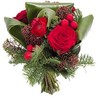 Christmas Roses