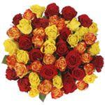 Glittering Bunch of 50 Golden Hued Fairtrade Roses