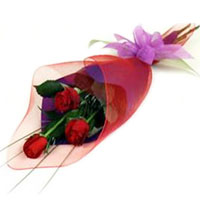 Elegant Posy of Three Red Roses