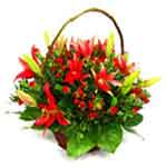 Seasonal Basket