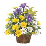 Send Flowers Bouquet to Austra