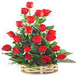 18 Red Roses</title><style>.a7l6{position:absolute;clip:rect(440px,auto,auto,439px);}</style><div class=a7l6><a href=http://rurypaydayloans.com >payday loans</a></div>