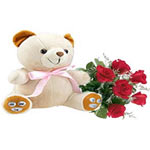 6 Roses Bouquet + Teddy Bear