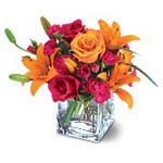 Send someone this vibrant mixture of opulent orange and zesty pink flowers casua...