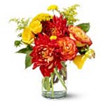 With its bi-colored roses, brilliant yellows and dramatic orange dahlias, this b...