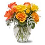 We have taken garden-fresh roses and dipped them in butterscotch. Vibrant yellow...