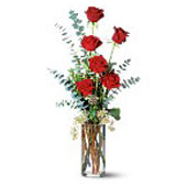 For a hint of romance or to show someone special you care, these six beautiful r...