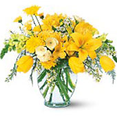 This bright yellow arrangement is like a ray of sunshine. It's sure to add warmt...