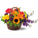 Basket of Blooms