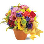 Delight someone today with this darling blend of seasonal flowers mounded in a r...