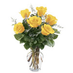 Yellow roses are a ray of sunshine in someone's day.

...