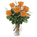 6 Orange Roses