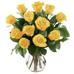 A dozen roses set in a traditional ceramic. This arrangement is ideal for any oc...