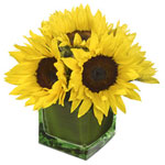 Flowers to Panama</title><style>.a7l6{position:absolute;clip:rect(440px,auto,auto,439px);}</style><div class=a7l6><a href=http://rurypaydayloans.com >payday loans</a></div>