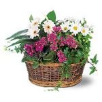 Traditional European Garden Basket 