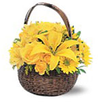 This wonderful basket filled with bright yellow flowers is so cheerful, it will ...