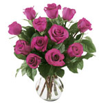 12 Hot Pink Roses