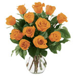 12 Orange Roses