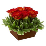 A simple flower arrangement of six burnt-orange roses  nestled in a bed of bear...