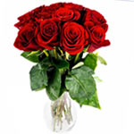 Magical Electric Energy of Red Roses