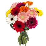 Colorful Gerbera Daisies Bouquet